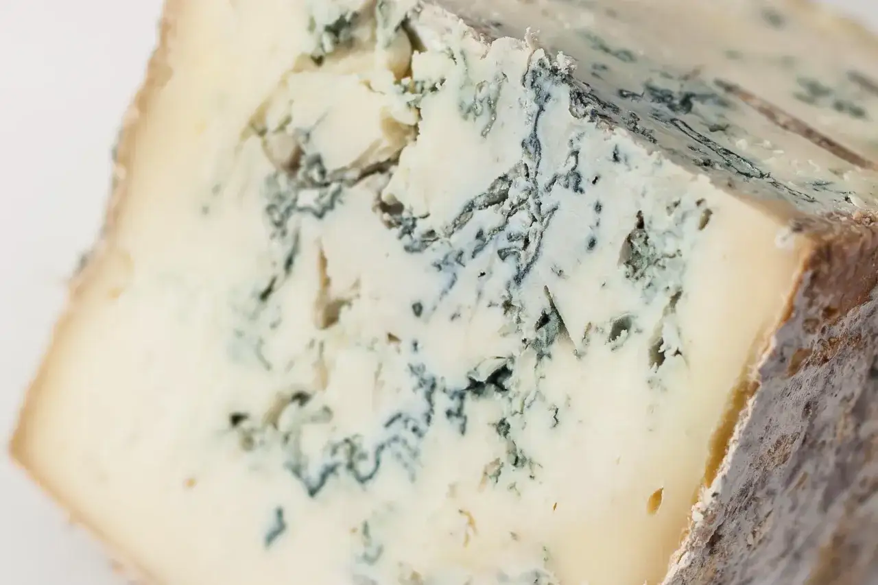 Formaggio erborinato con venature blu intenso. La muffa è una parte naturale del processo, ma se il formaggio in frigo fa la muffa in modo indesiderato, è meglio conservarlo avvolto.