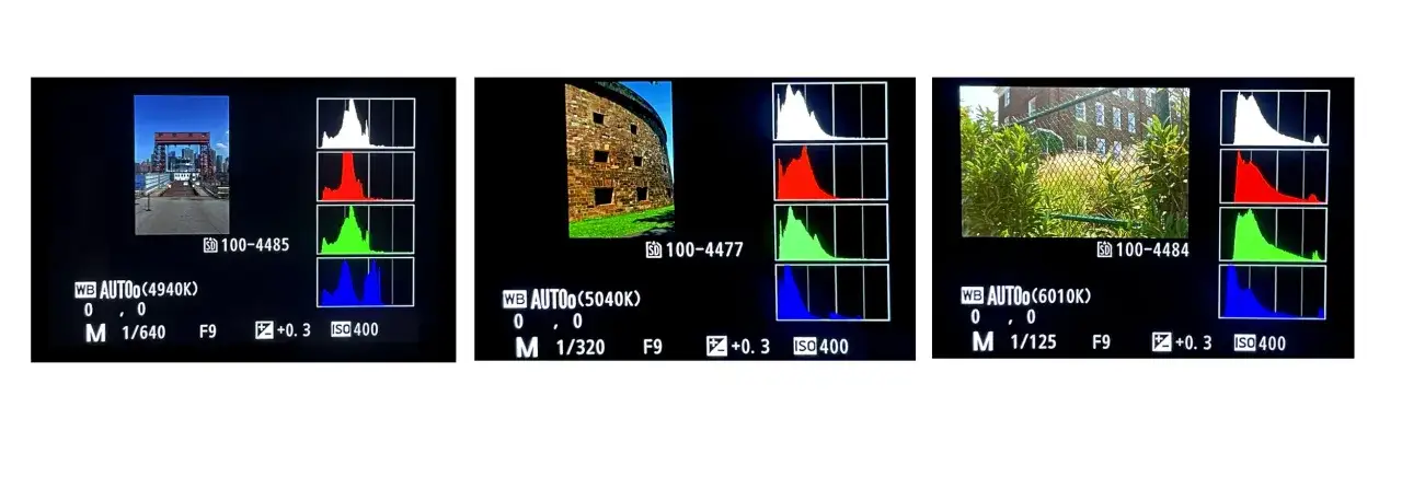 Tre immagini con foto e grafici che mostrano che cos'è un istogramma, utile per analizzare la luce.
