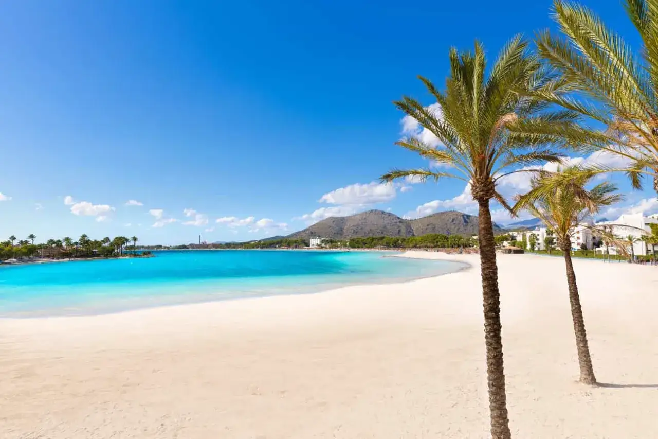 Traumhafter alcudia strand mit Palmen, wei&szlig;em Sand und t&uuml;rkisblauem Meer unter strahlend blauem Himmel. Berge im Hintergrund.