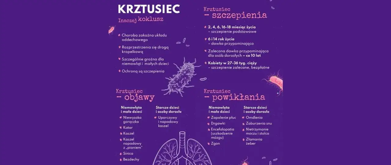Infografika o kokluszu: objawy, szczepienia i powikłania. Szczególnie groźny dla niemowląt.