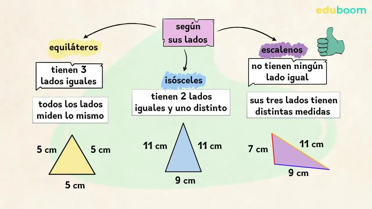 Clasificación de **tipos de triángulos** según sus lados: equiláteros (3 lados iguales), isósceles (2 lados iguales) y escalenos (ningún lado igual).
