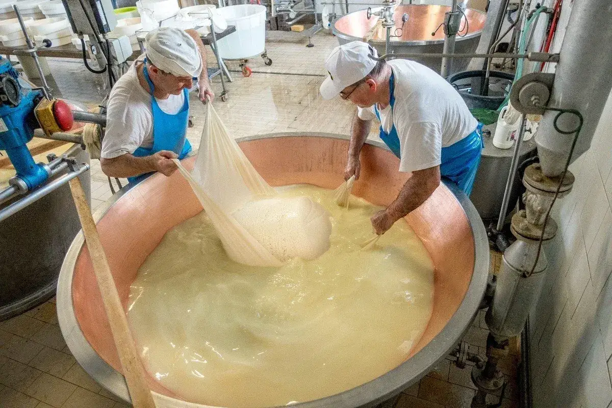 Dwóch serowarów pracuje przy wielkiej kadzi, tworząc sery typu Grana Padano i Parmezan.