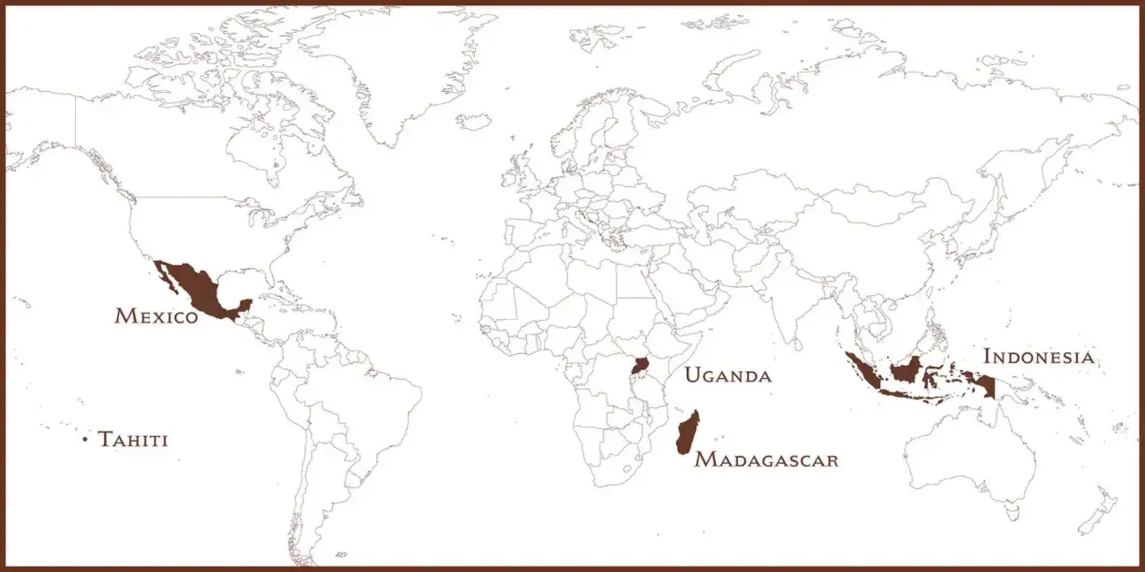 Karte zeigt, wo wird Vanille angebaut: Mexiko, Tahiti, Uganda, Madagaskar und Indonesien.