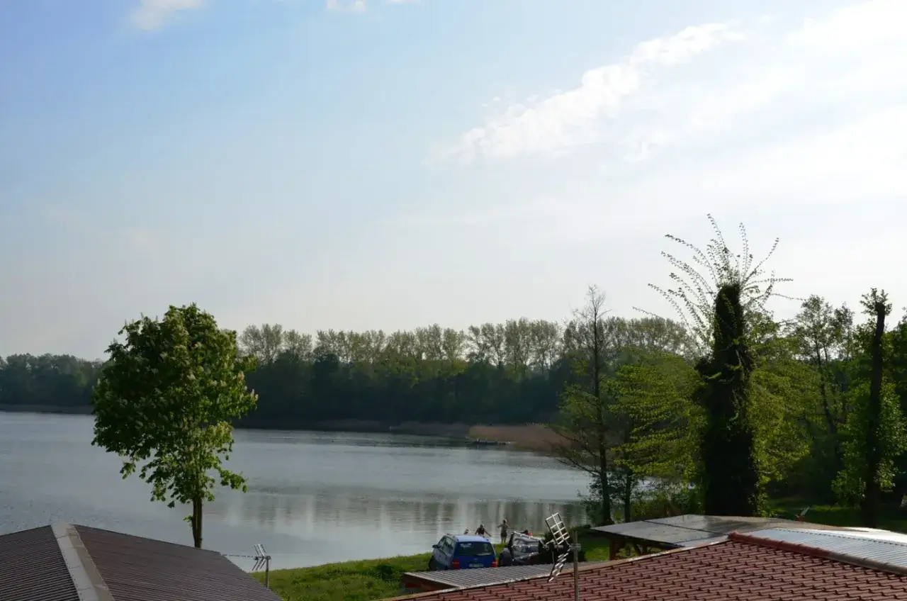 Spokojny dzień nad jeziorem Ostrowskim. Woda odbija niebo, a na brzegu kwitnie drzewo.