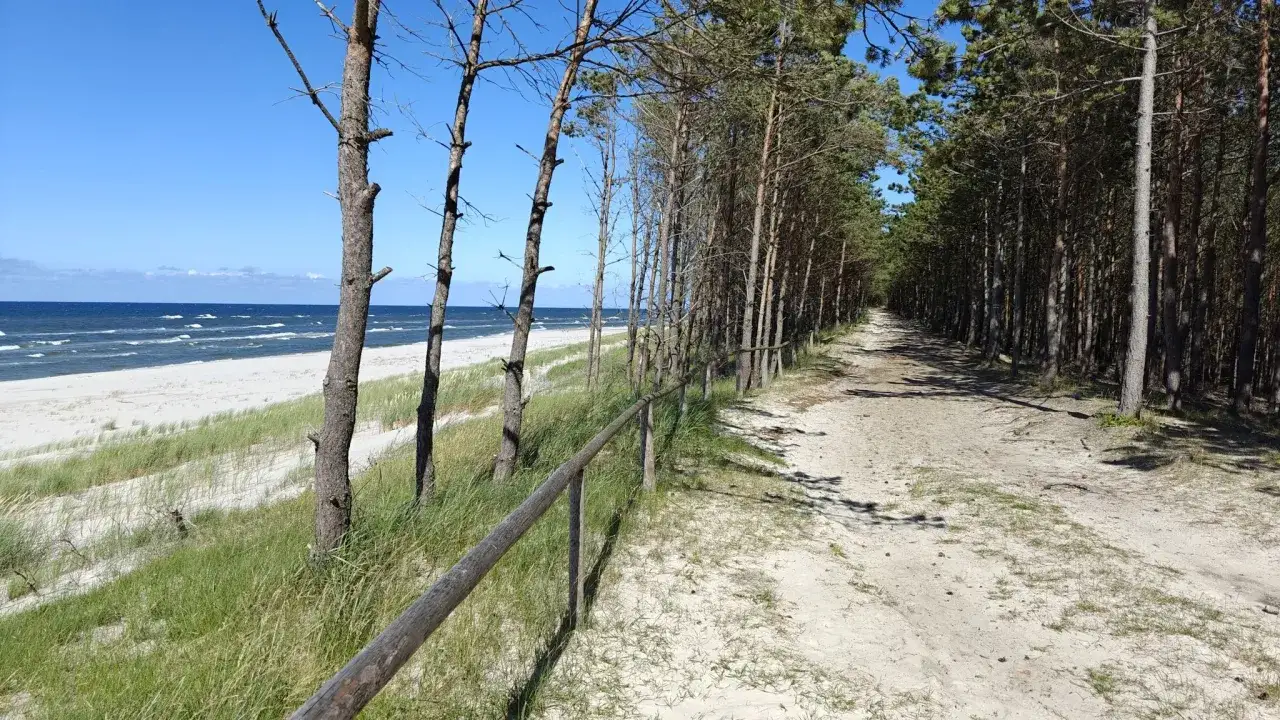 Ścieżka przez sosnowy las w Choczewie prowadzi do piaszczystej plaży nad Bałtykiem.
