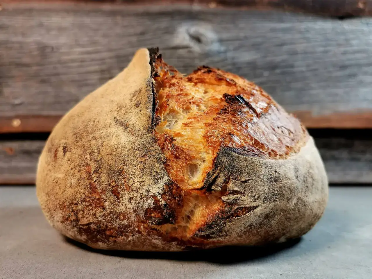 Ein rustikales, italienisches Brot mit Lievito Madre, dessen Kruste goldbraun gebacken ist und eine offene Krume zeigt.