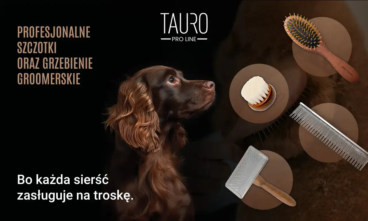Brązowy pies z pięknym podszerstkiem, obok profesjonalne szczotki i grzebienie groomerskie. Każda sierść zasługuje na troskę.