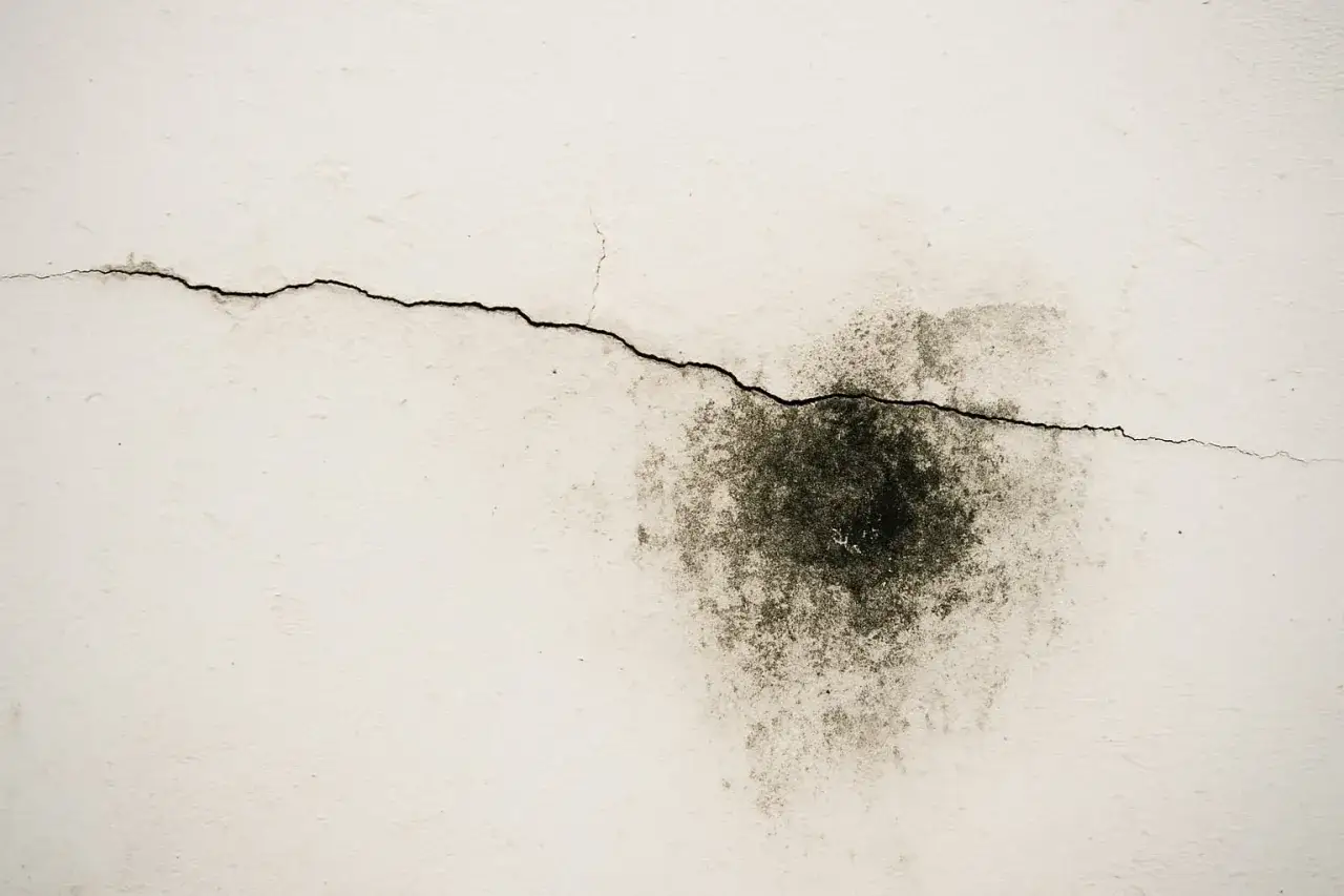 Fissure sur un mur blanc, r&eacute;v&eacute;lant un vice cach&eacute; dans une maison ancienne. Tache d'humidit&eacute; sombre et inqui&eacute;tante.