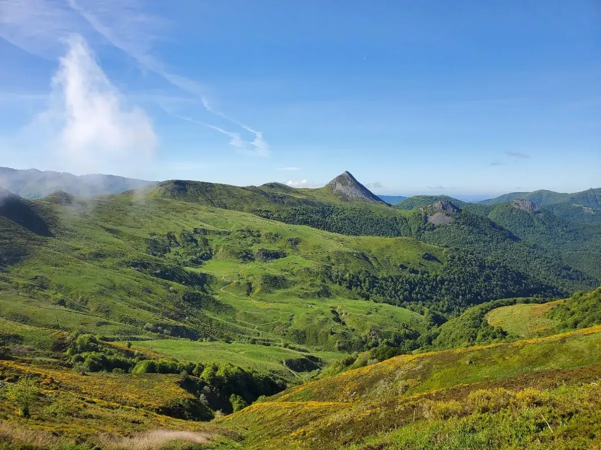 Vastes collines verdoyantes parsemées de fleurs jaunes, avec un pic rocheux dominant la vallée de la Jordanne sous un ciel bleu.