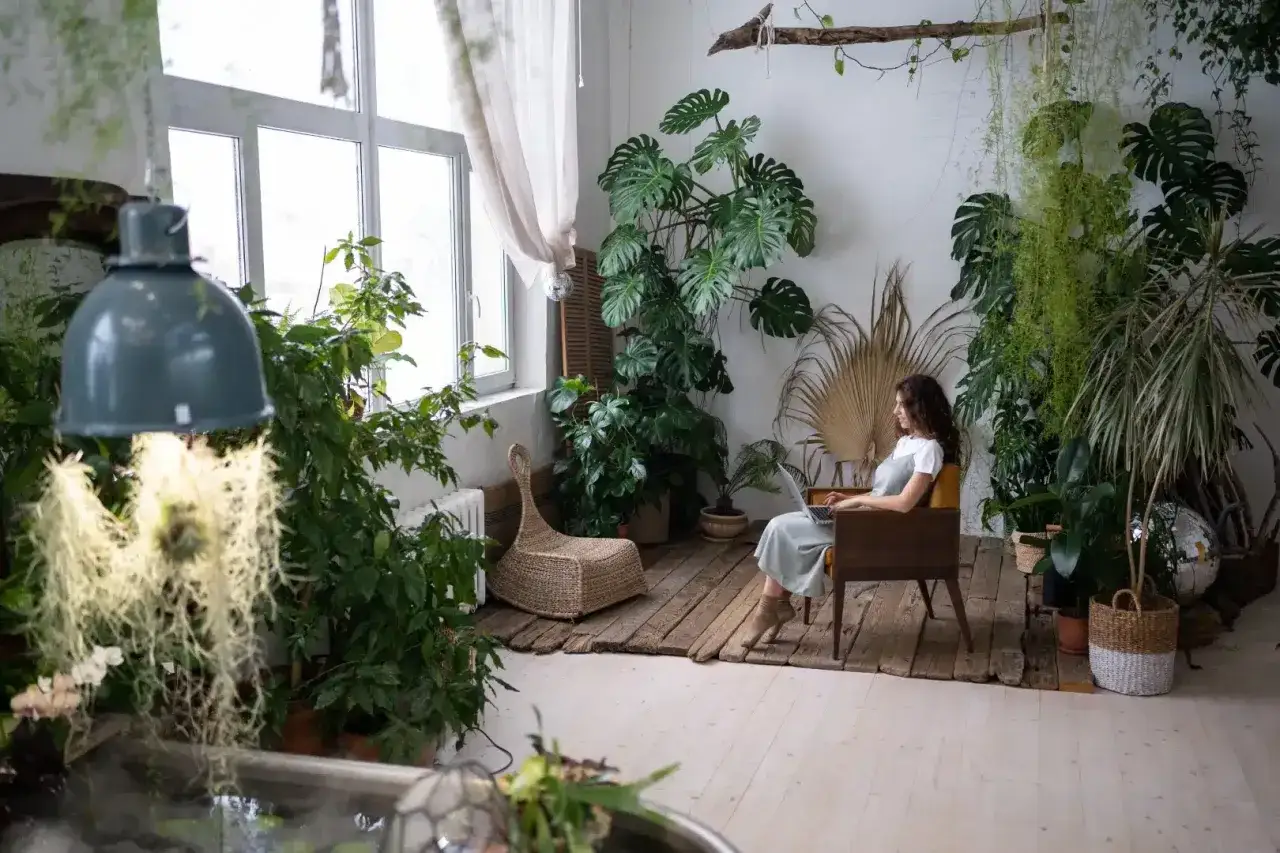 Rośliny w salonie Urban Jungle