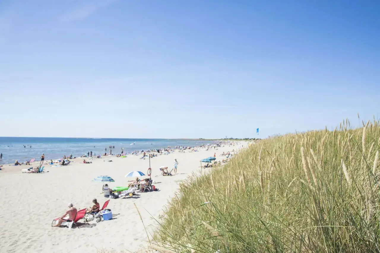 En solig dag på en livlig strand i Halland. Människor solar, badar och njuter av vädret.