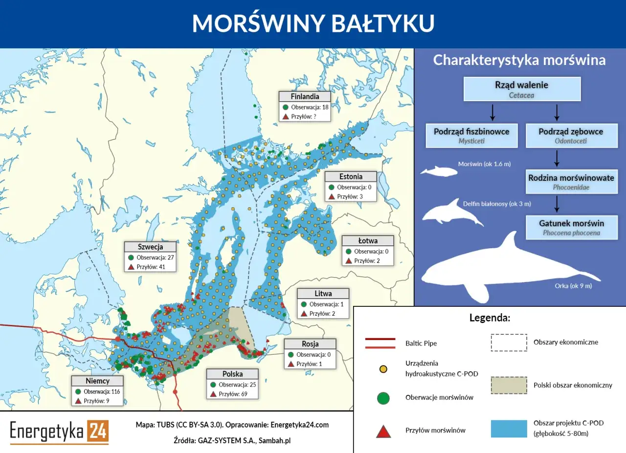 Mapa Bałtyku z zaznaczonymi obserwacjami i przyłowami morświnów. Niewielka różnorodność biologiczna Bałtyku wynika z jego specyficznych warunków.