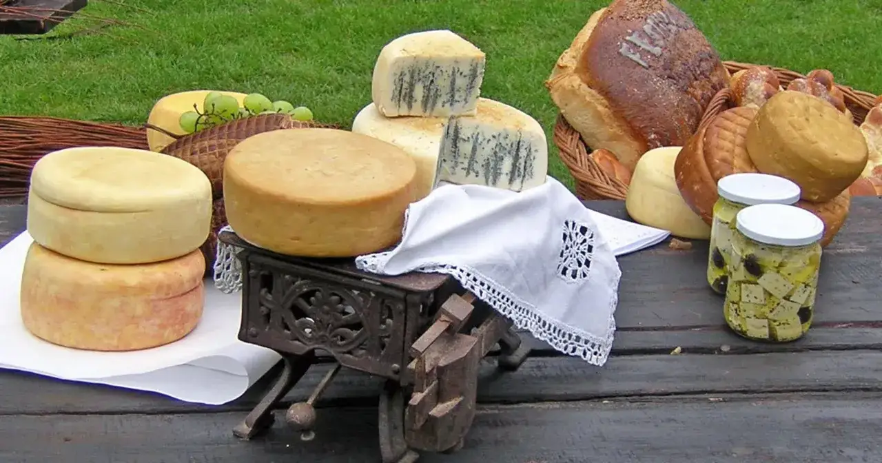 tabela porównanie ser owczy krowi