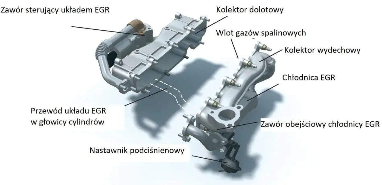 Schemat układu EGR z zaznaczonymi elementami. Nieszczelny egr objawy mogą być związane z tymi częściami, np. zaworem sterującym.
