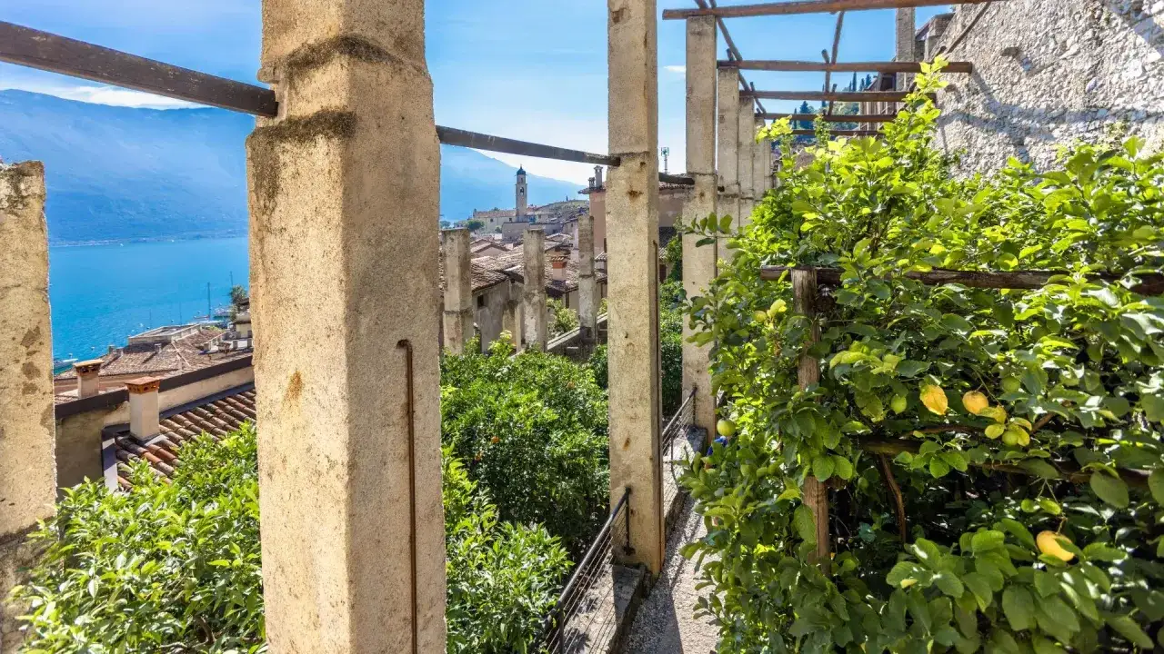 Vista dalla limonaia del castel, con alberi da frutto e il lago sullo sfondo.