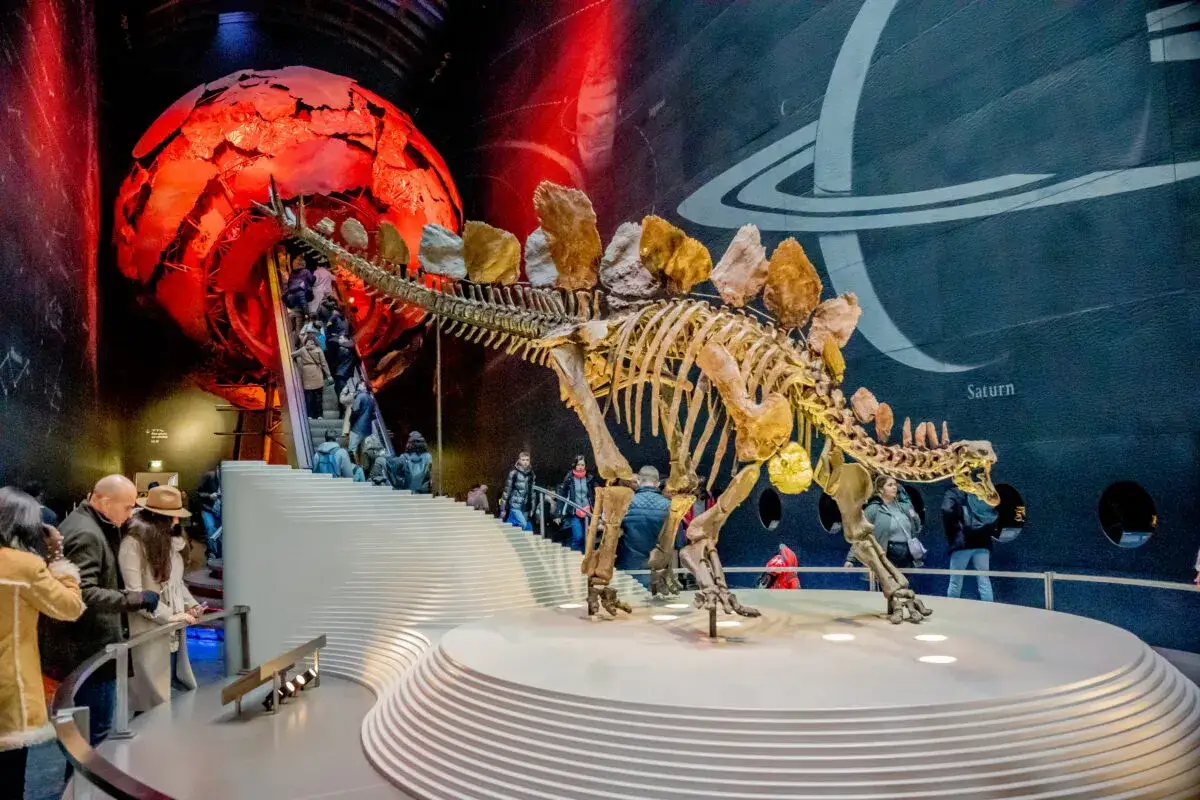 Szkielet dinozaura Stegozaura w muzeum, idealne miejsce na londyn atrakcje dla dzieci. W tle czerwona kula i Saturn.