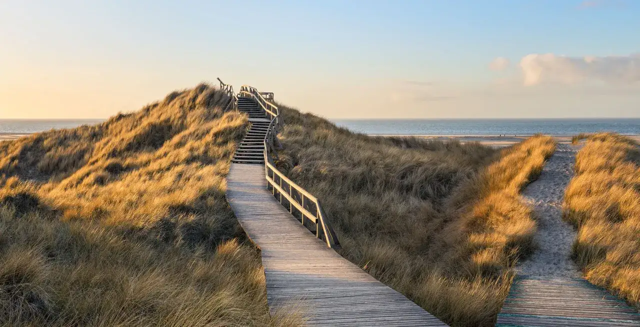Holzweg f&uuml;hrt durch D&uuml;nen zur Nordsee. Perfekt f&uuml;r einen entspannten Tagesausflug Nordsee.