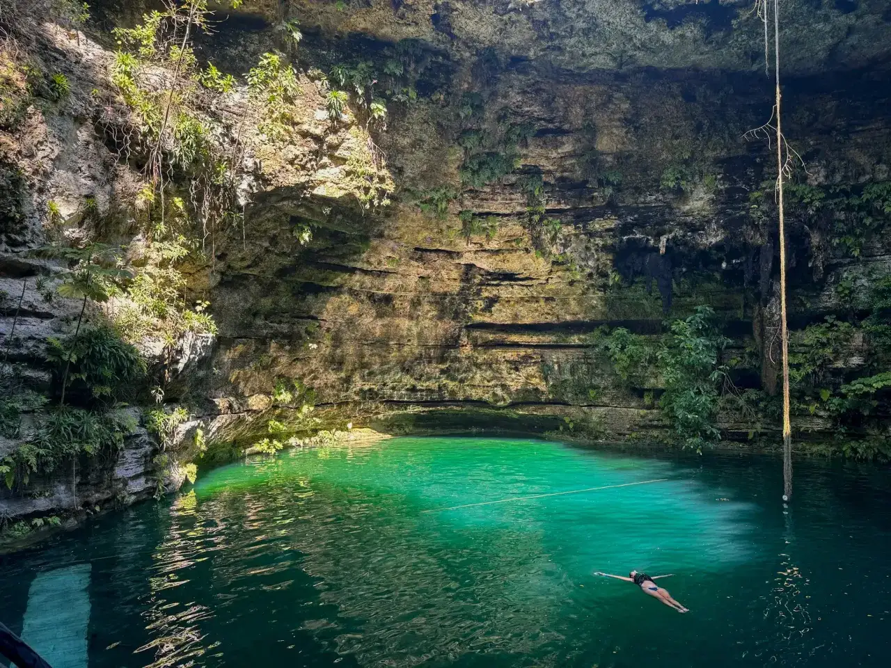 Eine Frau schwimmt in einem smaragdgr&uuml;nen Cenote in Valladolid, Mexiko. Tropische Pflanzen ranken an den Felsw&auml;nden herab.