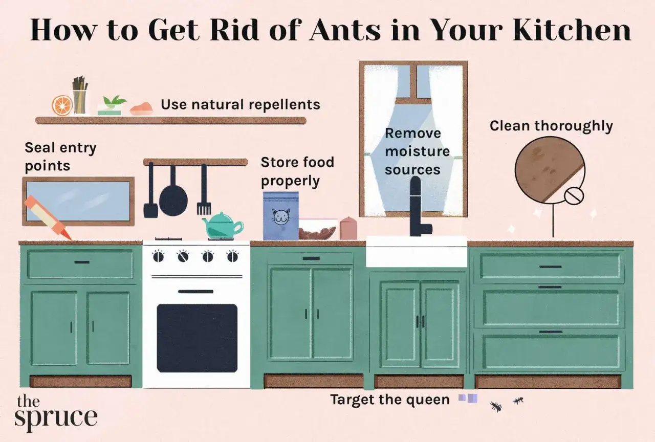 Ilustraci&oacute;n de una cocina con consejos para eliminar hormigas diminutas.