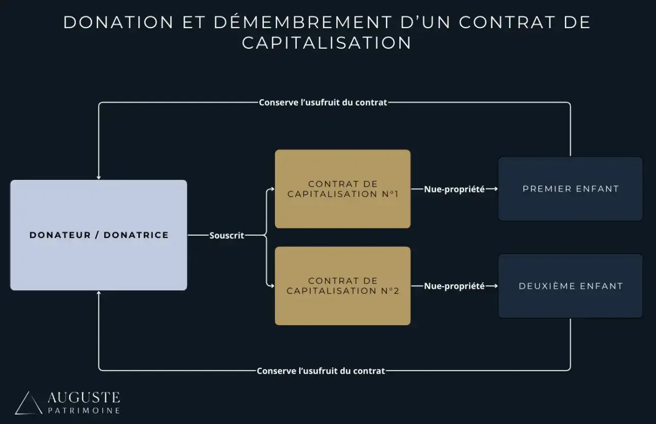 Schéma illustrant la donation et le démembrement d'un contrat de capitalisation. Le donateur conserve l'usufruit, tandis que la nue-propriété de deux contrats est transmise aux enfants.