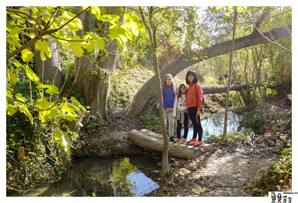 Familia posa en la ruta del agua Sella, cruzando un arroyo sobre troncos. Naturaleza exuberante y luz solar filtrándose entre los árboles.