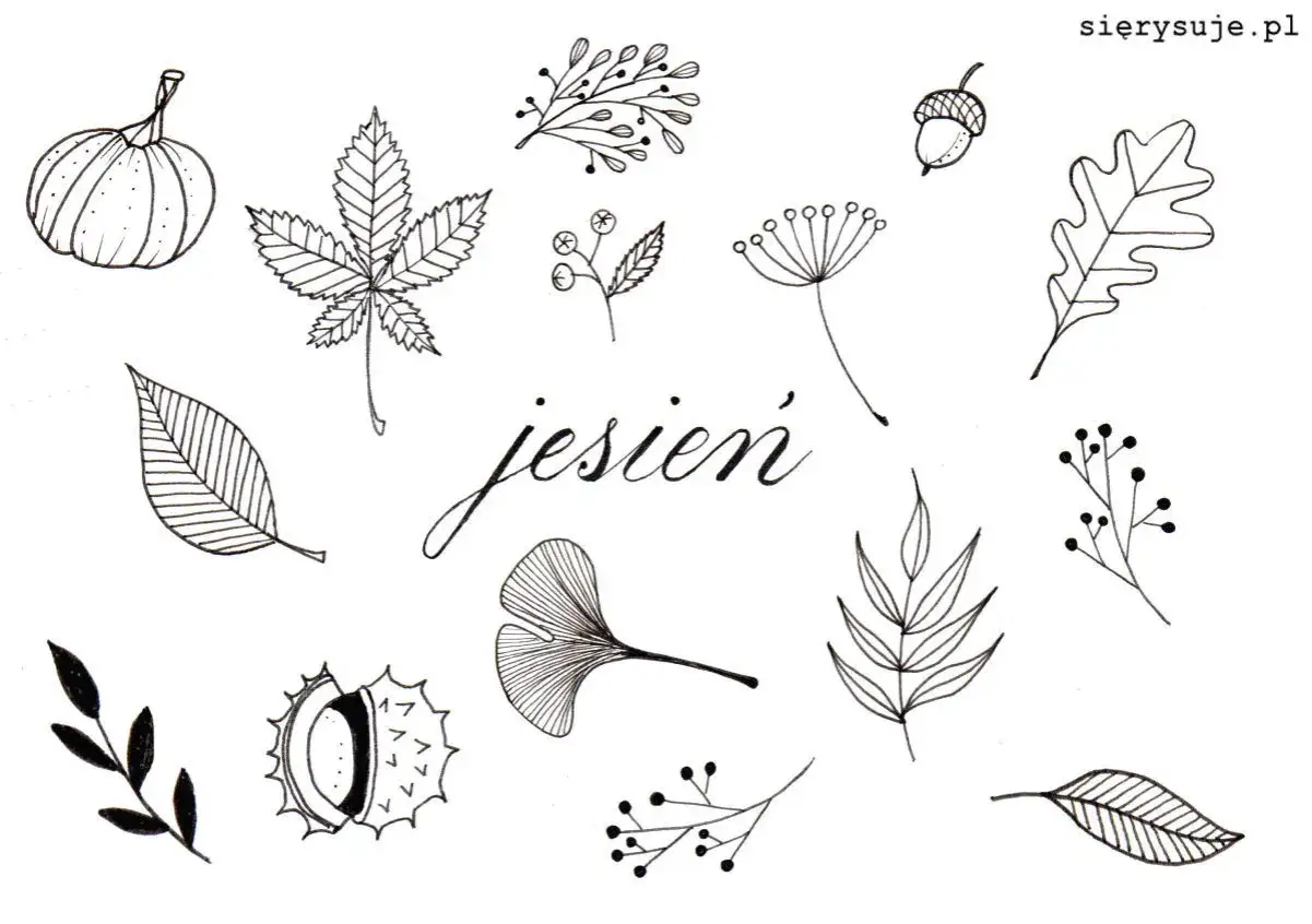 Jesienne inspiracje: dynia, liście, żołądź, kasztan i gałązki. Idealne, by pokazać, jak narysować coś fajnego.