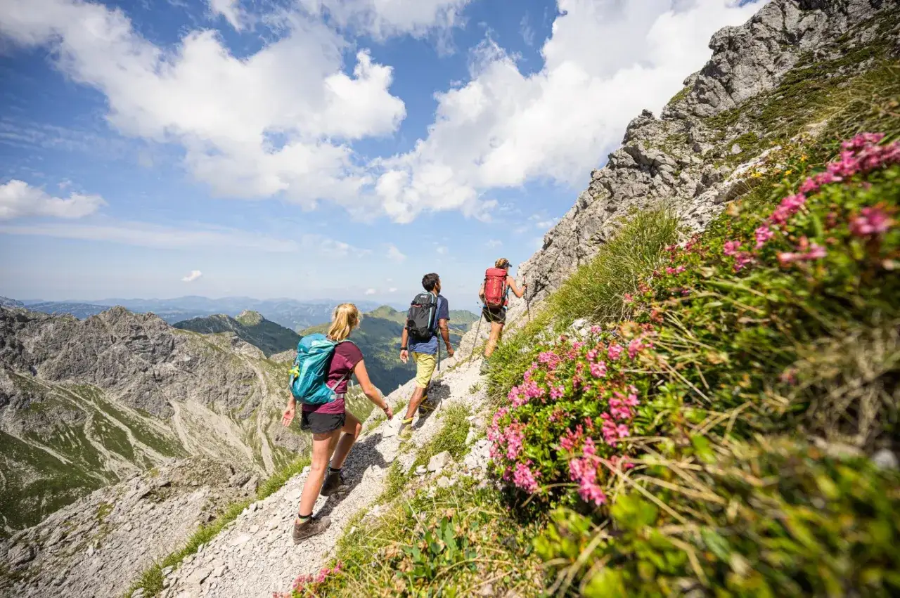Drei Wanderer steigen auf einem felsigen Pfad mit rosa Alpenrosen. Die Aussicht auf die Berge ist atemberaubend, ein Weg von Oberstdorf nach Meran.