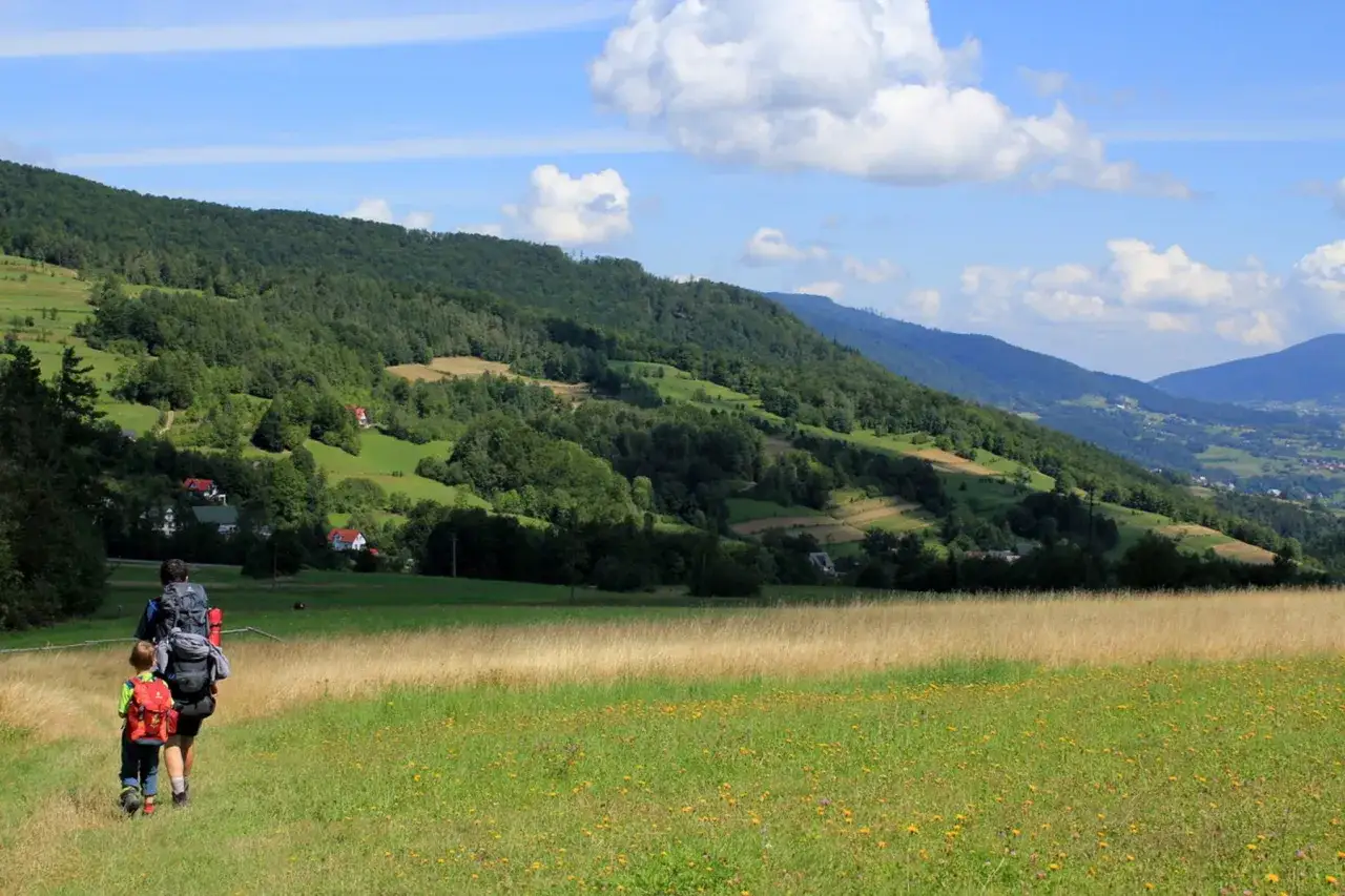 Ojciec z synem idą ścieżką przez łąkę w Beskidach. W tle zielone wzgórza i domy. Mały szlak beskidzki zaprasza do wędrówki.