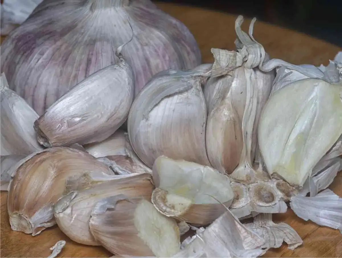 Aglio fresco, pronto per un **macerato di aglio** benefico. Spicchi e bulbi su un tagliere di legno.