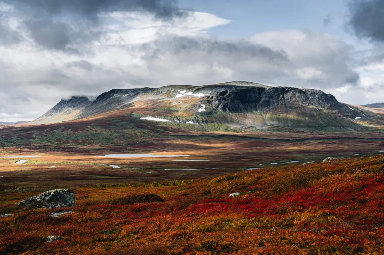 Hösten färgar landskapet i sprakande rött och guld längs Kungsleden nära Hemavan. Ett mäktigt fjäll reser sig mot en dramatisk himmel.