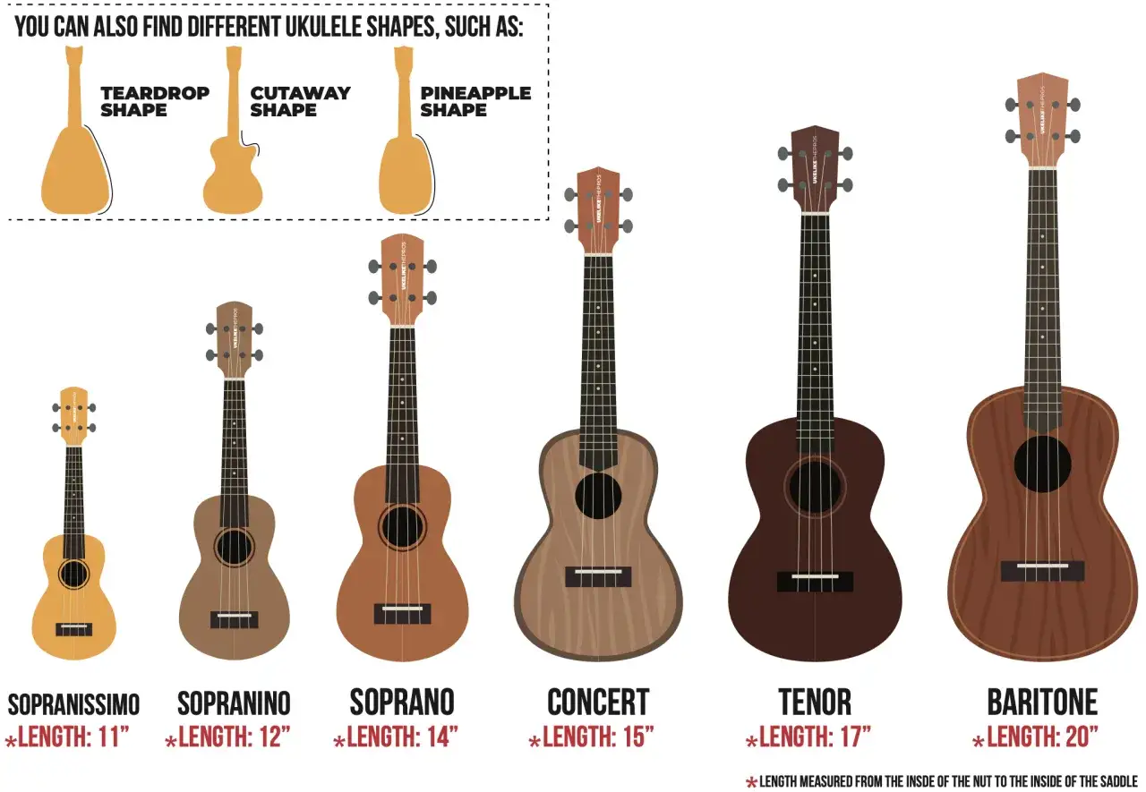 Verschiedene Ukulelen-Größen: Sopranissimo, Sopranino, Soprano, Concert, Tenor, Bariton. Die kleine Gitarre hat den Namen Sopranissimo.