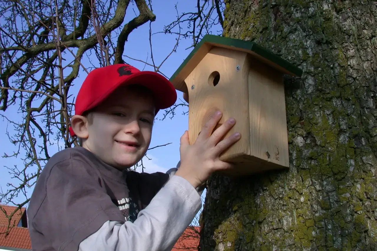 Junge mit roter Kappe hilft bei der Ausrichtung des Nistkastens am Baum.