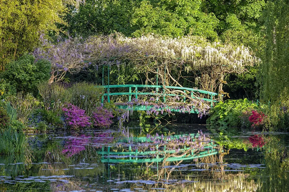 Pont vert orné de glycine fleur, reflété dans l'eau paisible d'un jardin luxuriant.