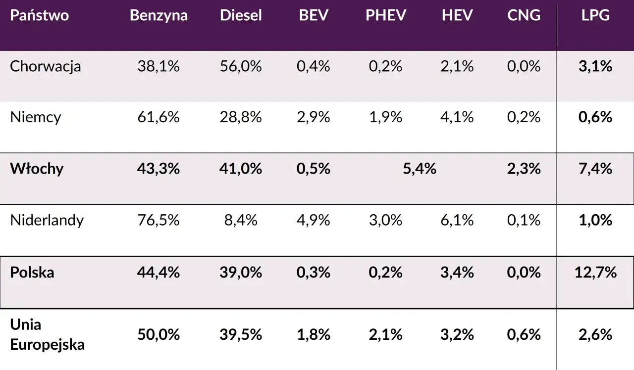 Wykres kołowy składników ceny LPG w Polsce