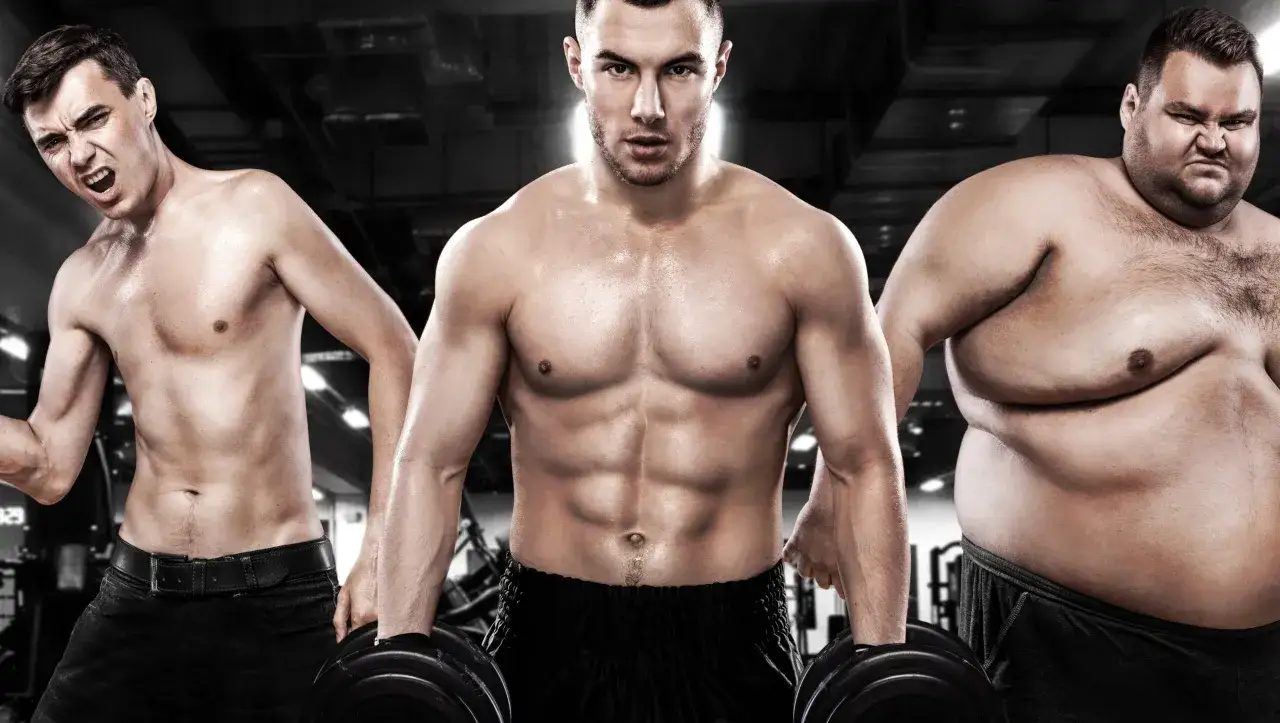Tre uomini in palestra: uno magro e arrabbiato, uno muscoloso e centrale, e uno corpulento. Il significato di endomorfo &egrave; rappresentato dal terzo uomo.