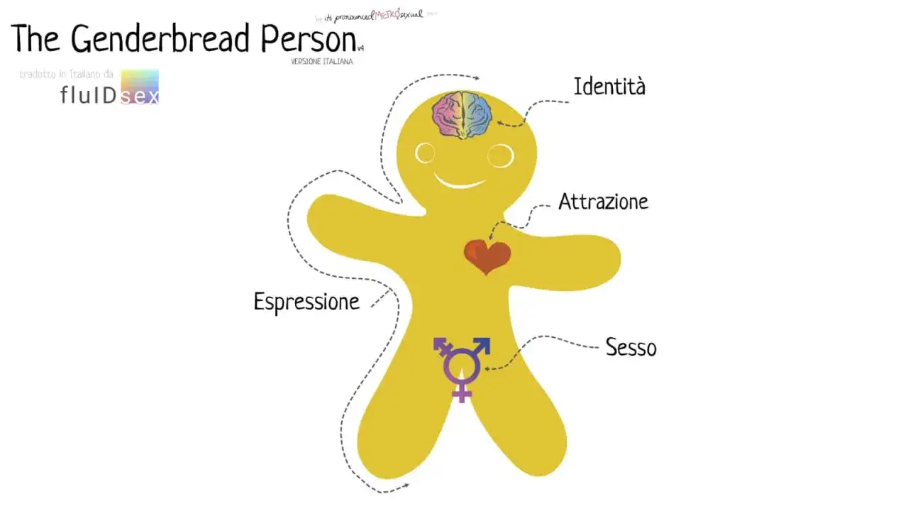 Il Genderbread Person, traduzione queer di concetti su identità, attrazione, espressione e sesso.