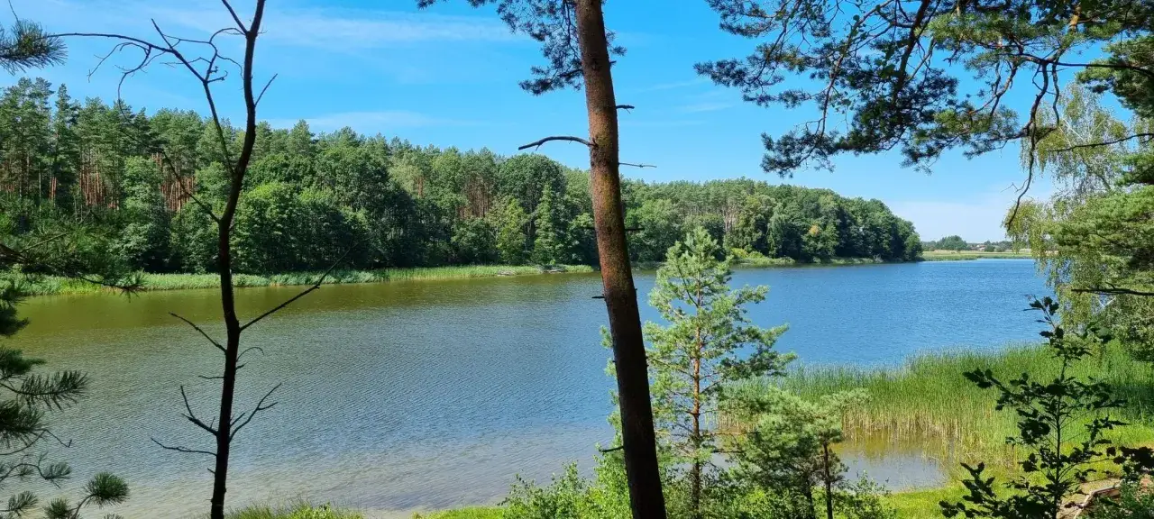 Piękna trasa przez Bory Tucholskie. Jezioro otoczone lasem, idealne miejsce na spacer.