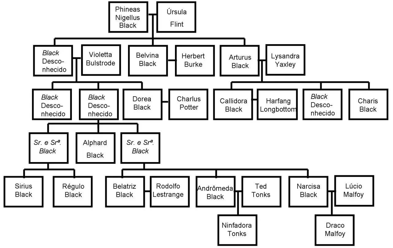 Drzewo genealogiczne rodziny Black, ukazujące powiązania między jej członkami, w tym m.in. Syriusza, Regulusa i Narcyzę.