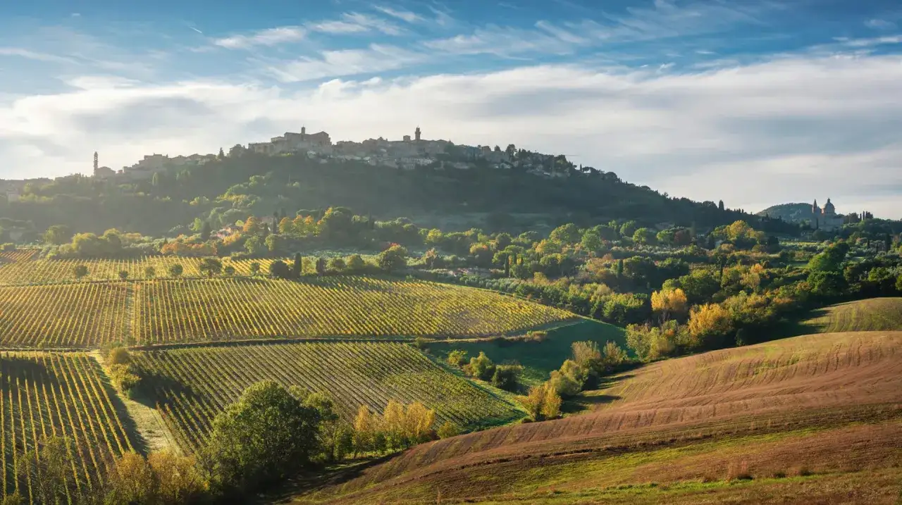 Colline toscane con vigneti dorati, un borgo medievale in cima e la promessa di un ottimo vino Nobile di Montepulciano DOCG.