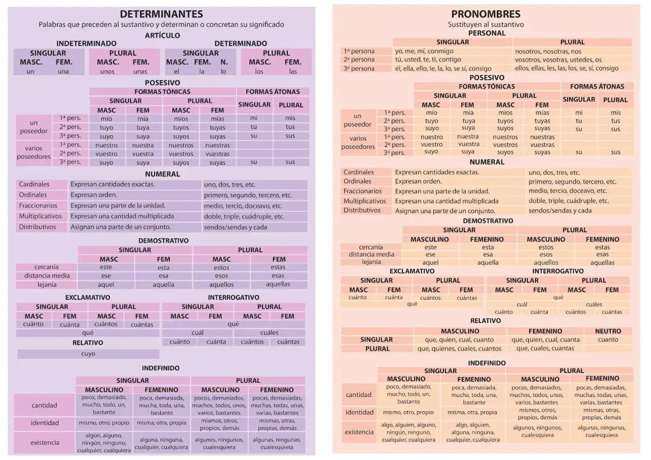 Tipos de determinantes y pronombres: art&iacute;culos, posesivos, numerales, demostrativos, exclamativos, interrogativos, relativos e indefinidos.