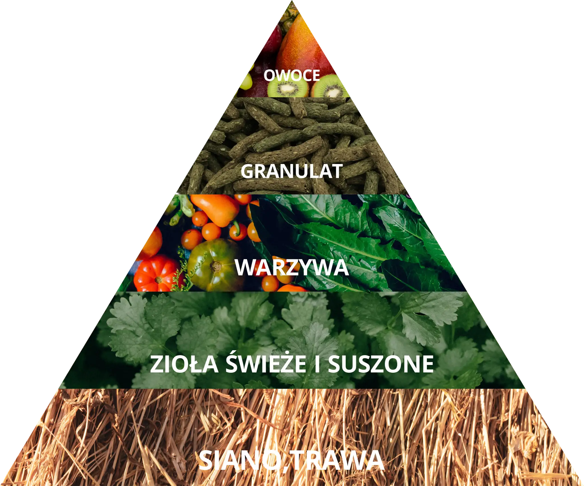 Co je królik siano karma warzywa