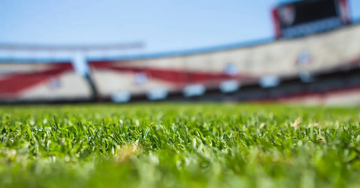 Liga Dania | Wyniki, terminarz i tabele | Typy bukmacherskie na mecze i zakłady
