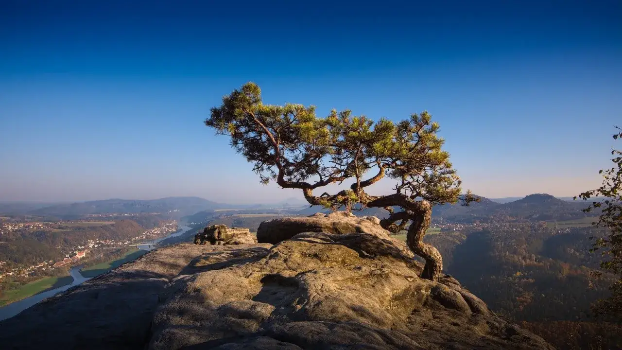 Ein einsamer Baum auf Felsen thront über einem malerischen Tal mit Fluss und Dorf. Ein echter **Geheimtipp Ostdeutschland** für Naturliebhaber.