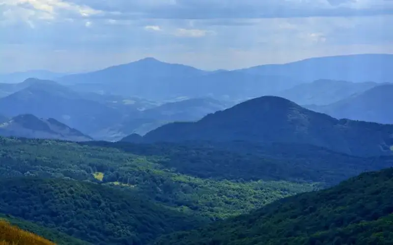 Tarnica widok ze szczytu panorama