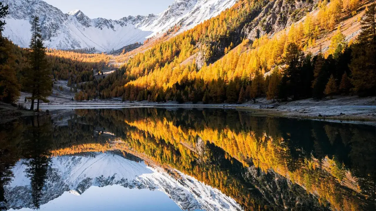 Reflets dorés des mélèzes sur le lac de l'Orceyrette, montagnes enneigées en arrière-plan.