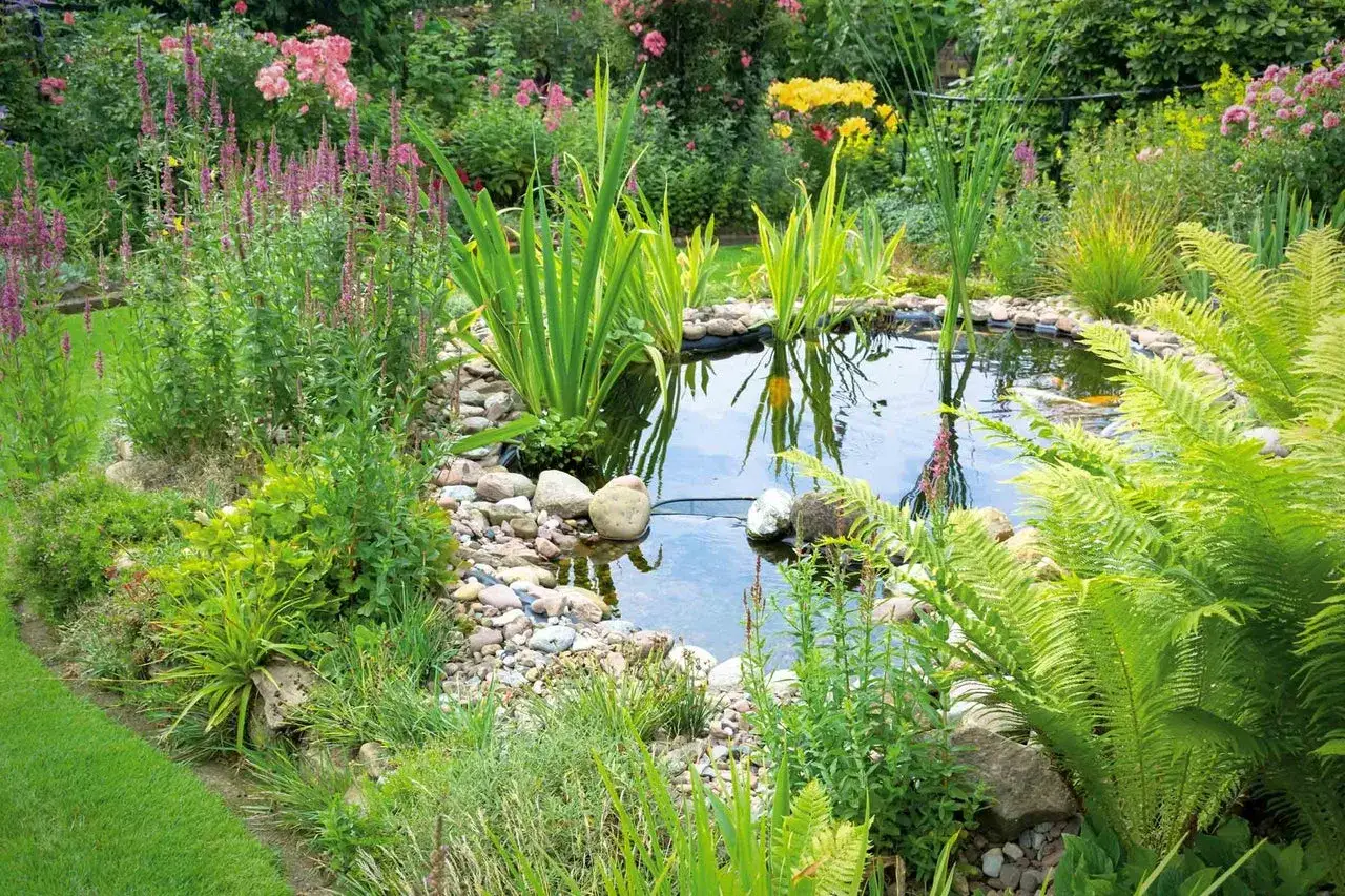 En vacker tr&auml;dg&aring;rdsdamm, perfekt f&ouml;r att bygga damm med frodig gr&ouml;nska, stenar och blommor.