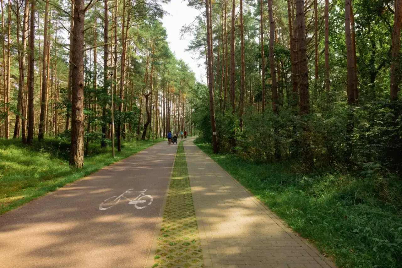 Ścieżka rowerowa w lesie, idealna na odkrywanie tras rowerowych zachodniopomorskich. Słońce przebija się przez drzewa.