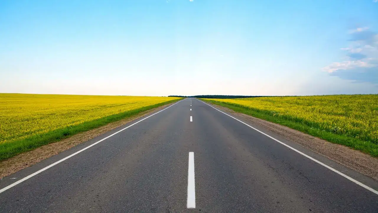 Droga biegnie przez pole rzepaku, aż po horyzont. Tak daleko widzi ludzkie oko, wpatrzone w bezkres natury.