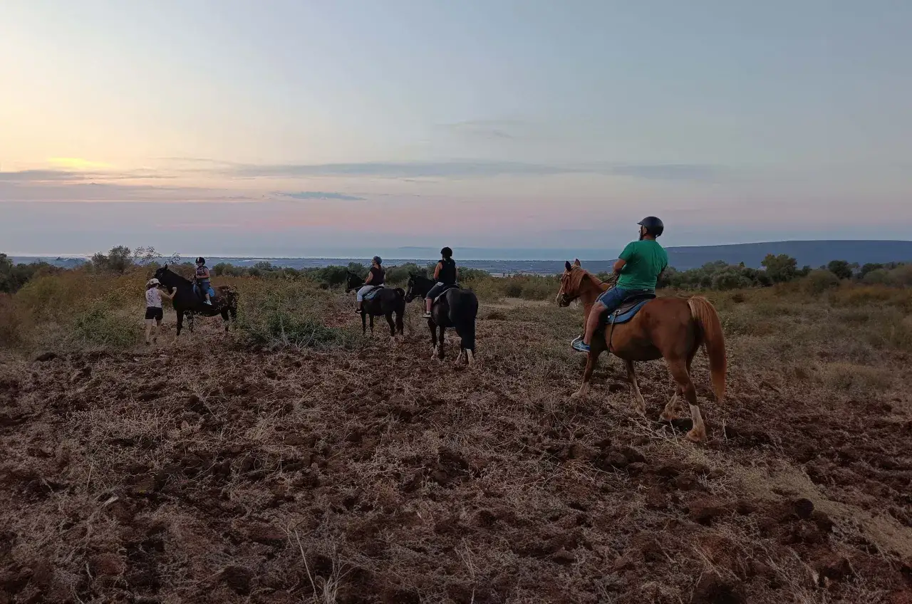 Un gruppo di persone fa una **passeggiata a cavallo** in **Puglia** al tramonto, con un cielo dai colori pastello e il mare all'orizzonte.