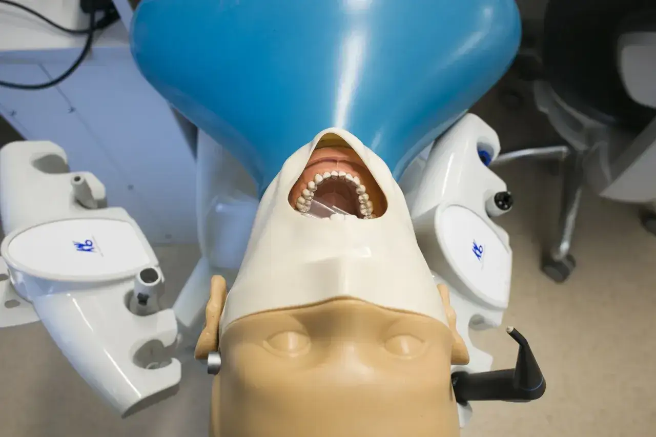 Manekin dentystyczny z otwartymi ustami i narzędziami. Nauka jak zostać dentystą zaczyna się od praktyki.